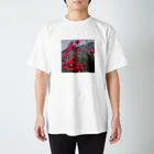 クラムボンのあかいろ Regular Fit T-Shirt