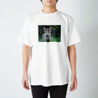 のら猫屋さんののら仔猫 Regular Fit T-Shirt