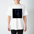 121_ailaのザラザラの月 Regular Fit T-Shirt