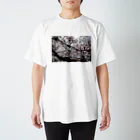 まるの晴天のさくら Regular Fit T-Shirt