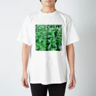 私もねこ好きのとみんとみんと。 Regular Fit T-Shirt