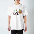 百±一のふわふわすねこすり スタンダードTシャツ