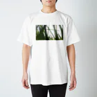 fDESIGNのfp_26_Photo スタンダードTシャツ