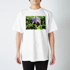 CUCUのモーラ Regular Fit T-Shirt