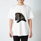 molaのアラブギリシャリクガメ Regular Fit T-Shirt