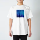 futago_channelの海中散歩 スタンダードTシャツ