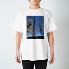 kamejinのスカイツリーと隅田川の桜 スタンダードTシャツ