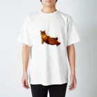 Elegant CatのElegant Cat ③ スタンダードTシャツ