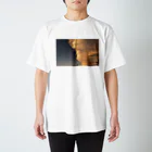 seikaの空波 Regular Fit T-Shirt