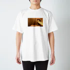 mrkwmrkのねこグッズ Regular Fit T-Shirt