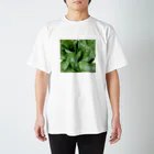 yotarosuzuriのYASAI畑シリーズ2 Regular Fit T-Shirt