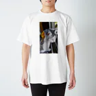 いしのたんぽぽにゃんこ Regular Fit T-Shirt