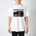 たにしの山T スタンダードTシャツ