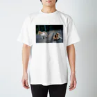 707の2匹の猫ちゃん Regular Fit T-Shirt