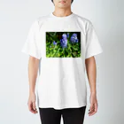 Dreamscape(LUNA)の楚々とした佇まい Regular Fit T-Shirt