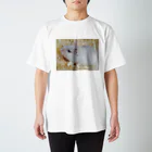 うさたんのスナネズミ グッズ Regular Fit T-Shirt