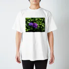 なほ◎6ーピーの紫陽花 スタンダードTシャツ