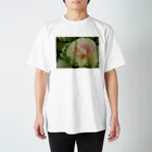 naabenqiaoの目の保養 Regular Fit T-Shirt