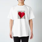 akoのまだ初心者ですが… Regular Fit T-Shirt