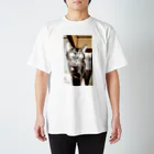 Sumigonのひかり猫 スタンダードTシャツ