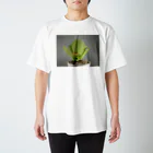 TANIKUDO by DJ.Plugmaticsの多肉植物A スタンダードTシャツ