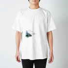 00allico00のカメ Regular Fit T-Shirt