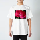 Dreamscape(LUNA)の高ぶる気持ちは・・・？ Regular Fit T-Shirt