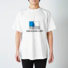 ケイ素に包まれた謎のこれでもPCなんだよ！ スタンダードTシャツ