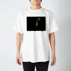 okの光 Regular Fit T-Shirt