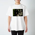 hiroki-naraの梅　ウメ　Japanese　apricot DATA_P_096 スタンダードTシャツ