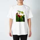 hiroki-naraのバラ　薔薇　rose DATA_P_117 スタンダードTシャツ