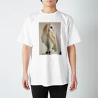 あんちゃんのおもちゃばこのあんちゃんのiPhoneケース スタンダードTシャツ