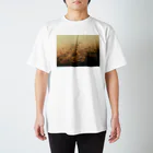 amayawinのfrom the window 32 Regular Fit T-Shirt