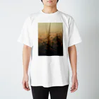 amayawinのfrom the window 33 Regular Fit T-Shirt