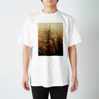 amayawinのfrom the window 36 Regular Fit T-Shirt