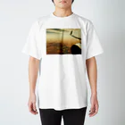 amayawinのfrom the window 37 Regular Fit T-Shirt