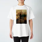 amayawinのfrom the window 41 Regular Fit T-Shirt