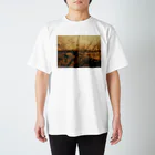 amayawinのfrom the window 44 Regular Fit T-Shirt