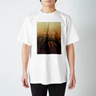 amayawinのfrom the window 45 Regular Fit T-Shirt