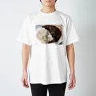 stecchiの麦ごはんカレー Regular Fit T-Shirt