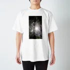 Rの太陽の光が当たる木 Regular Fit T-Shirt