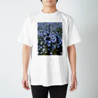 coronblanのネモフィラの咲く頃 Regular Fit T-Shirt