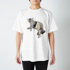 unyahamuの猫ののら スタンダードTシャツ