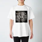 axxxx_pacificのAlbum スタンダードTシャツ