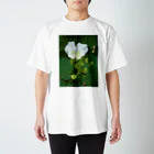 hiroki-naraの芙蓉 DATA_P_132　Confederate Rose ハスの花の古名 スタンダードTシャツ