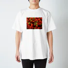 happy3のTAIWANのイチゴ Regular Fit T-Shirt