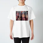 happy3のTAIWANのパイナップル Regular Fit T-Shirt