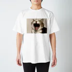 あゆのしおやきの猫(キジシロ) Regular Fit T-Shirt