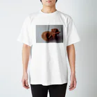 ぐりや's shopの鉱物 砂漠の薔薇 Regular Fit T-Shirt