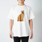 QQ_ooo_の神々しいネコ スタンダードTシャツ